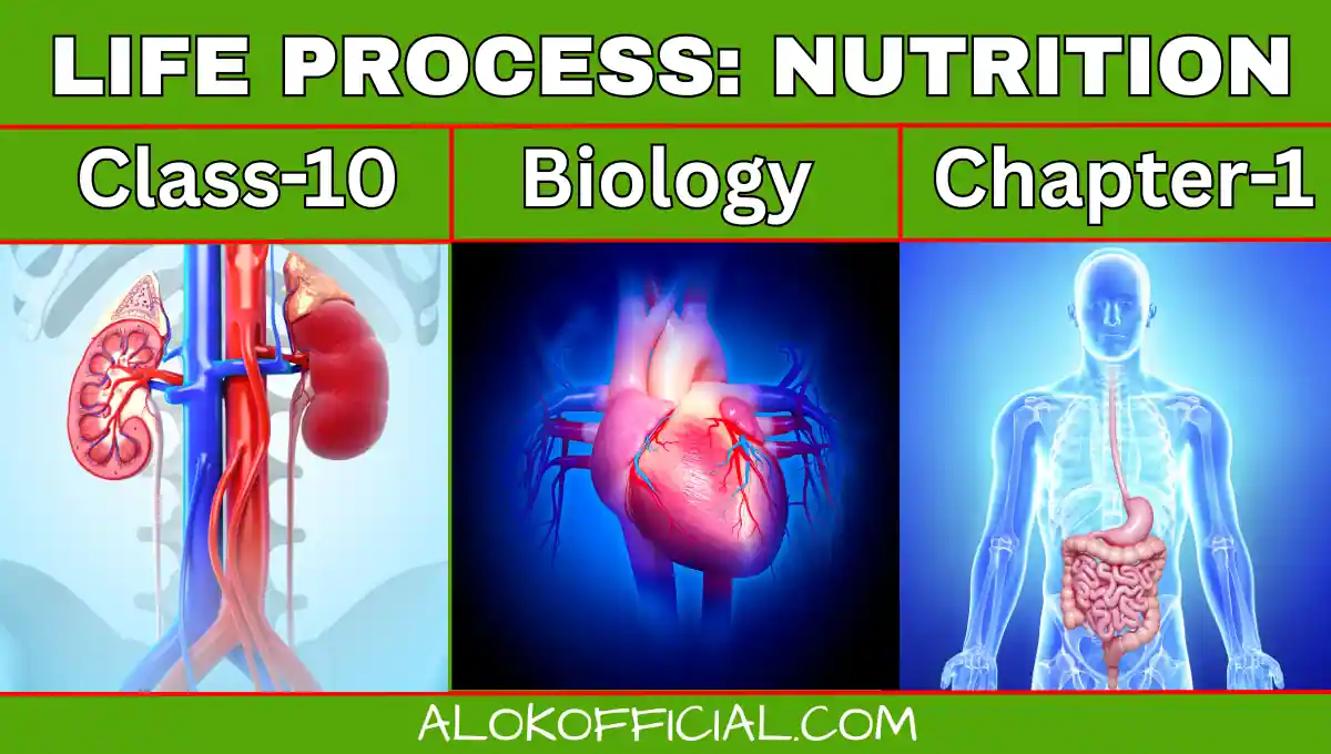 life process
