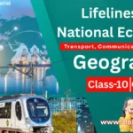 Lifelines of National Economy